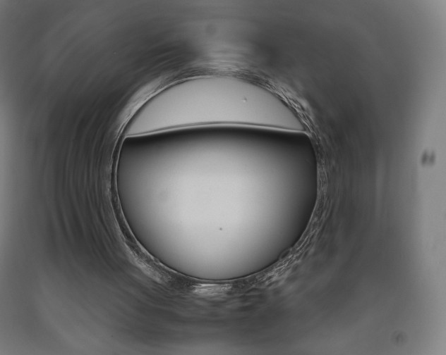 X0000093230051200709261517
