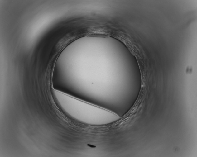 X0000093230052200709261517