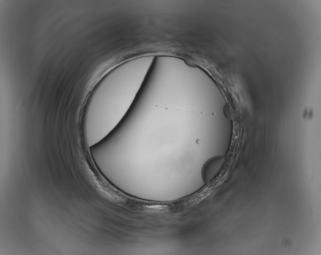 X0000093230053200709261517