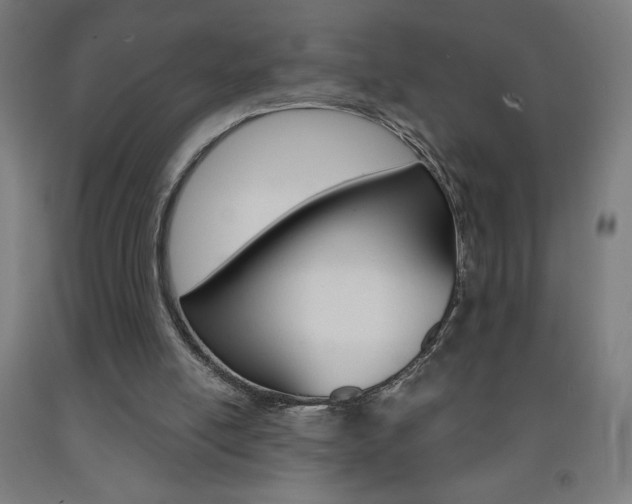 X0000093230054200709261517