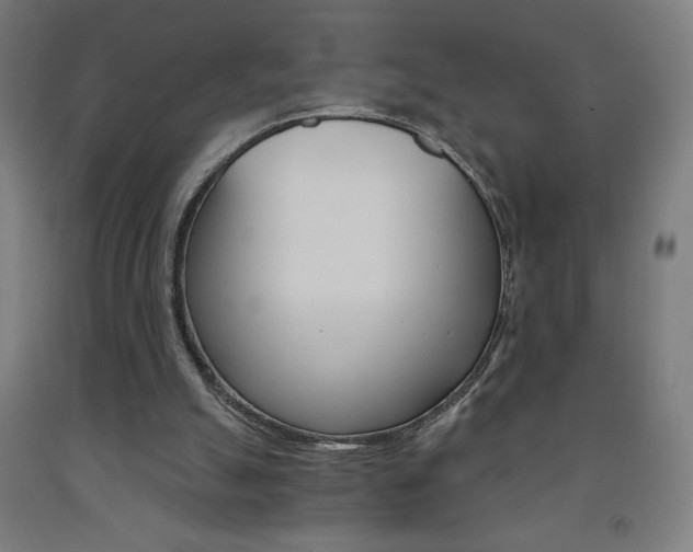 X0000093230055200709261517
