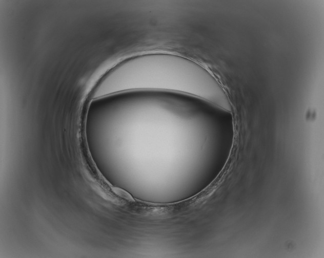 X0000093230056200709261518