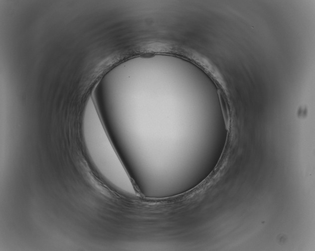 X0000093230057200709261518