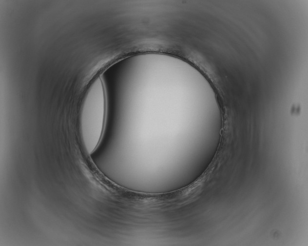 X0000093230058200709261518