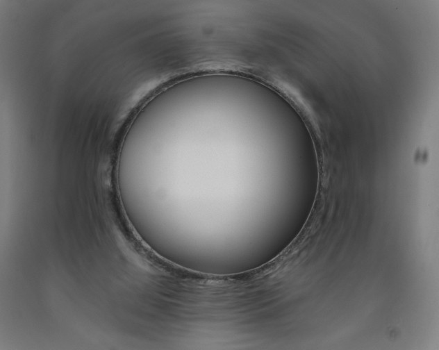 X0000093230060200709261518