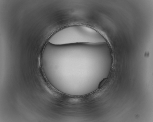 X0000093230061200709261518