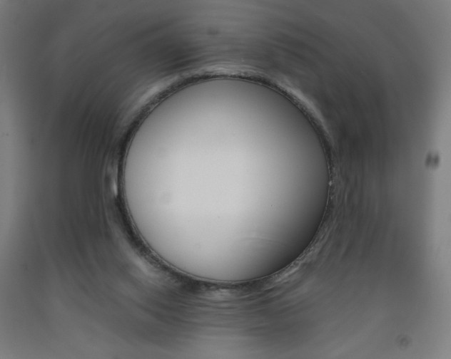 X0000093230062200709261518