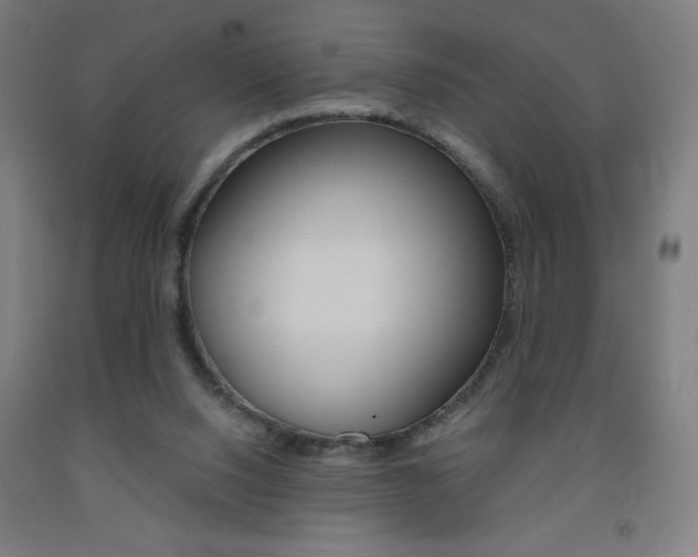 X0000093230064200709261518