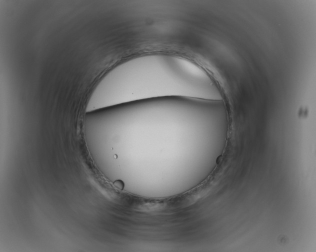 X0000093230065200709261518