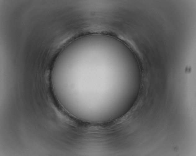 X0000093230066200709261518