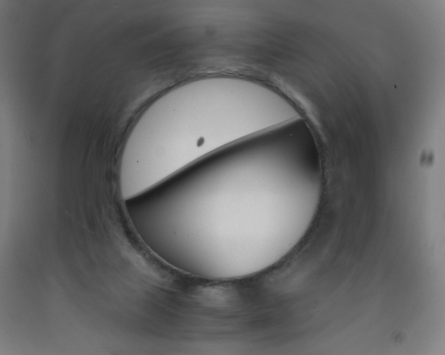 X0000093230067200709261518