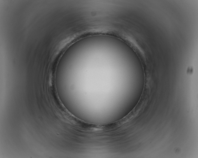 X0000093230068200709261518