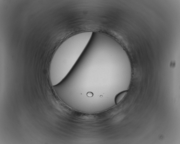 X0000093230069200709261518
