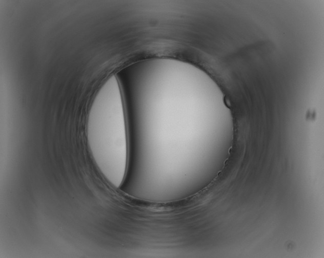 X0000093230073200709261518
