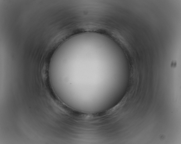 X0000093230074200709261518