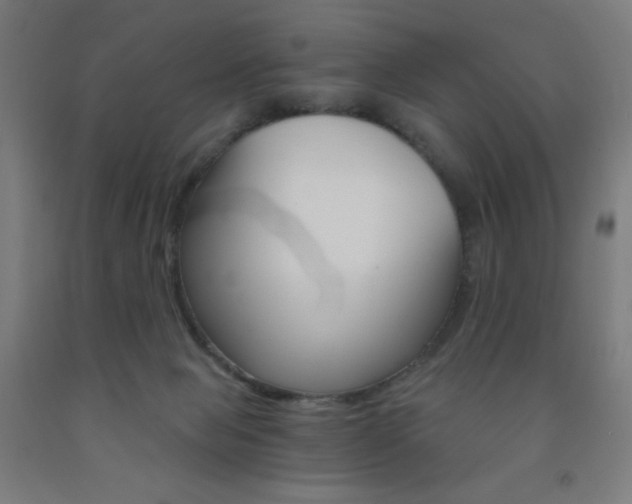 X0000093230077200709261518