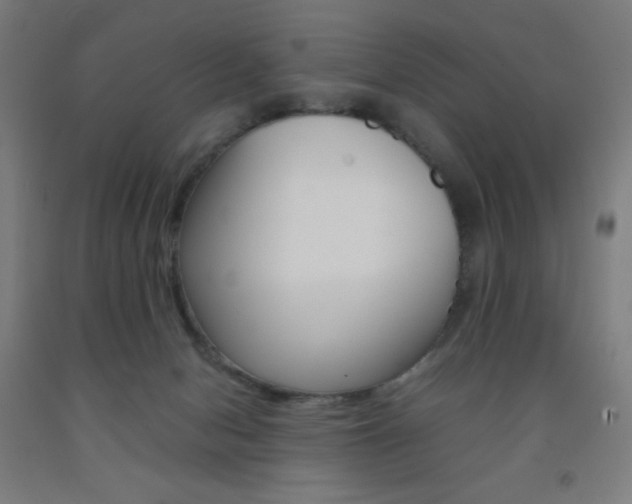 X0000093230078200709261518