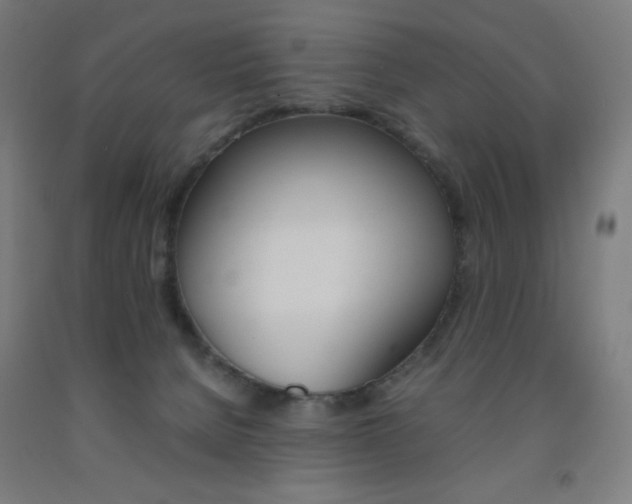 X0000093230080200709261518