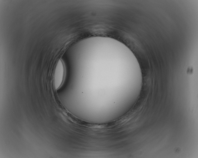 X0000093230081200709261518