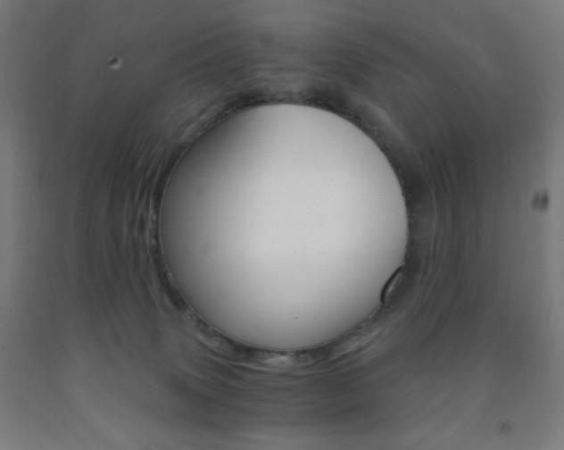 X0000093230083200709261518