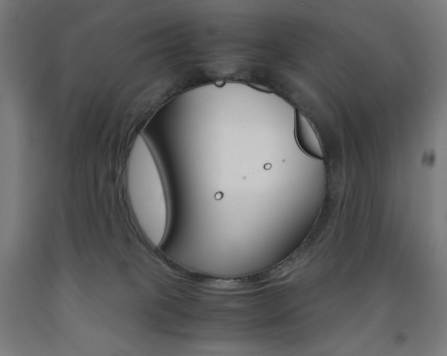 X0000093230085200709261518