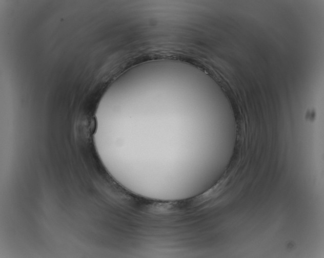 X0000093230086200709261518