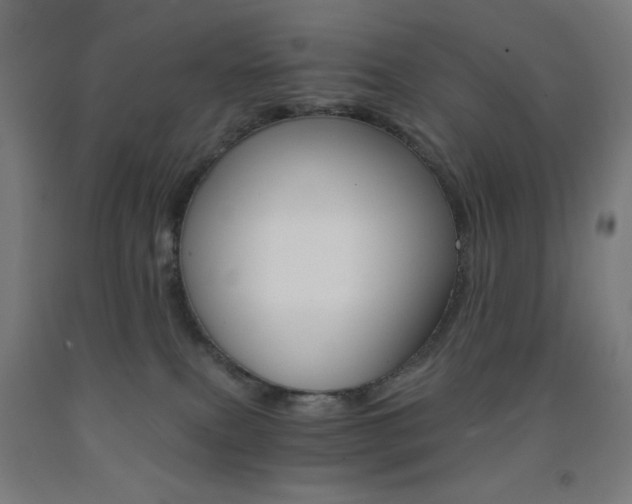 X0000093230087200709261518