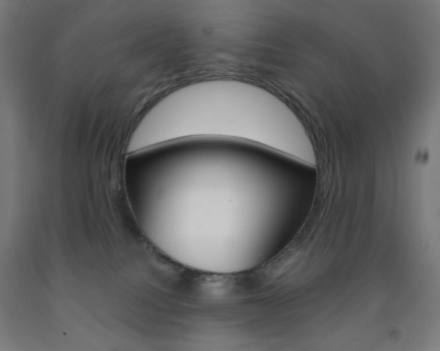 X0000093230088200709261518