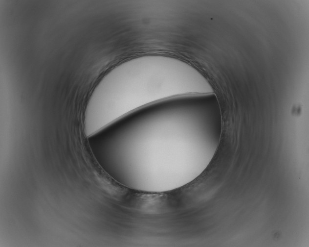 X0000093230089200709261518