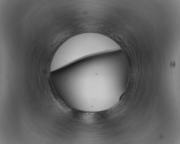X0000093230090200709261518