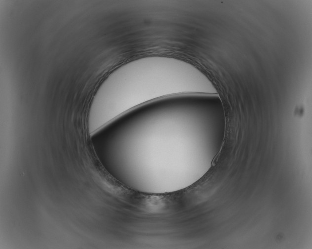 X0000093230091200709261518