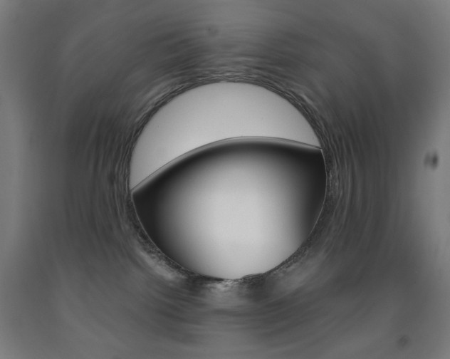 X0000093230092200709261518
