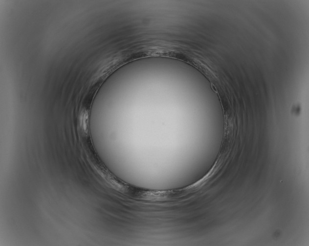 X0000093230094200709261518