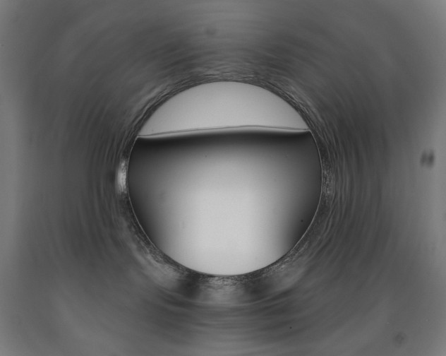 X0000093230095200709261518