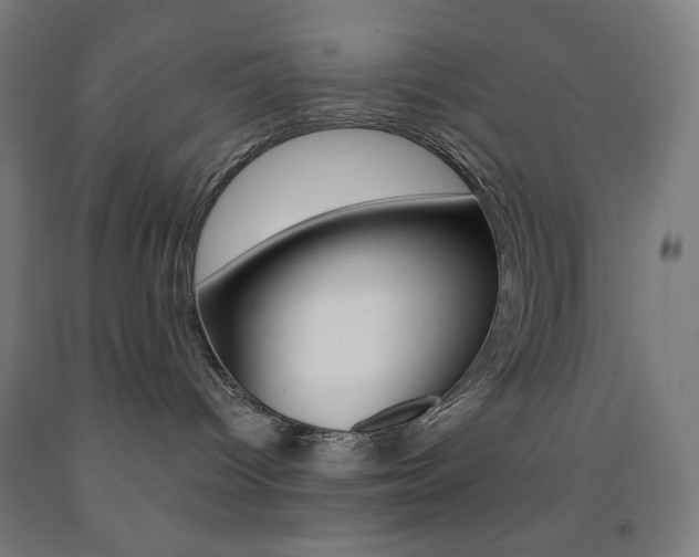 X0000093230096200709261518