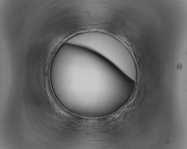 X0000093230097200709261517