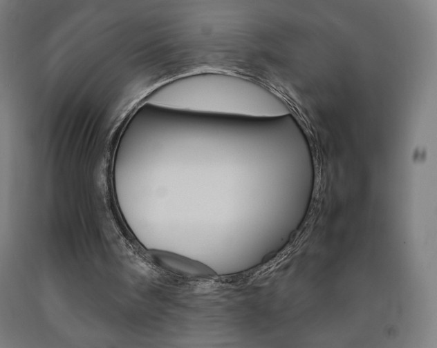 X0000093230098200709261517