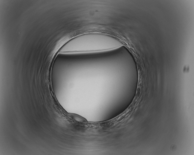 X0000093230099200709261517