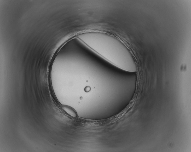 X0000093230100200709261517