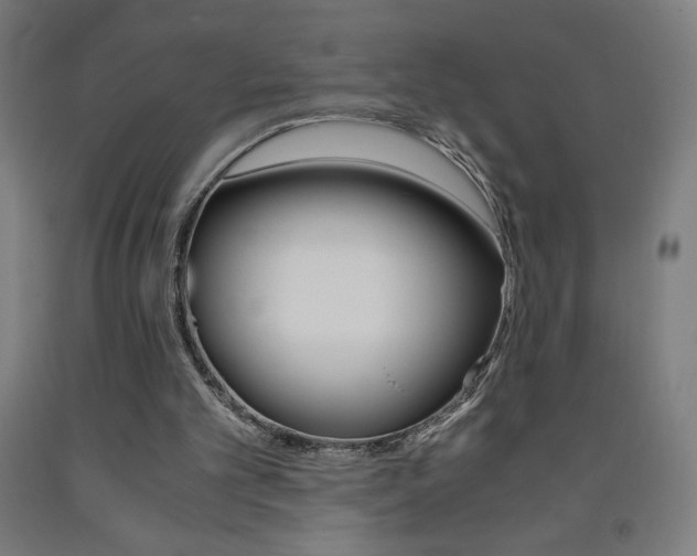 X0000093230101200709261517