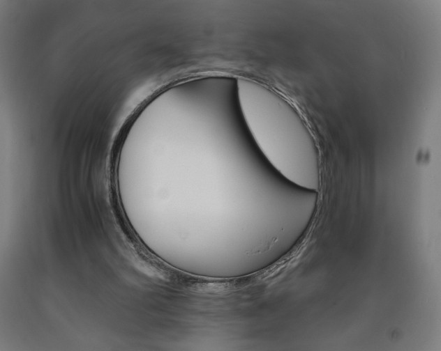 X0000093230102200709261517