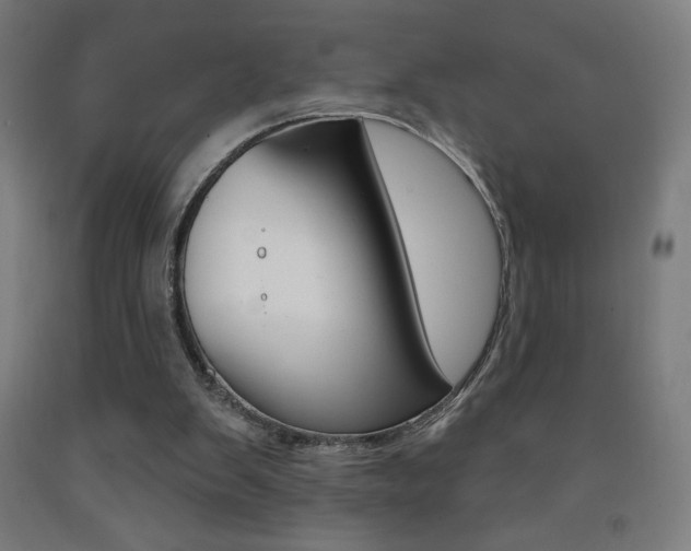 X0000093230103200709261517