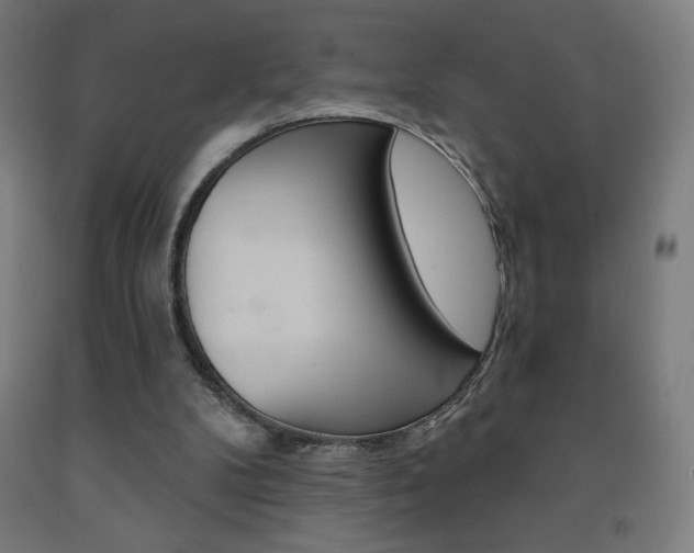 X0000093230104200709261517