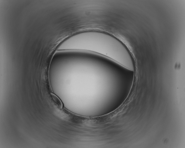 X0000093230105200709261517