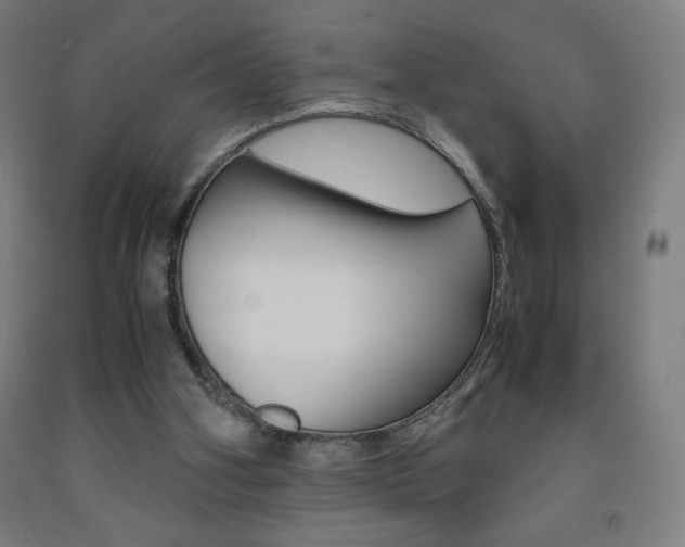 X0000093230106200709261517
