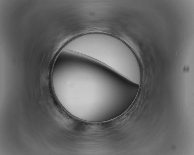 X0000093230107200709261517