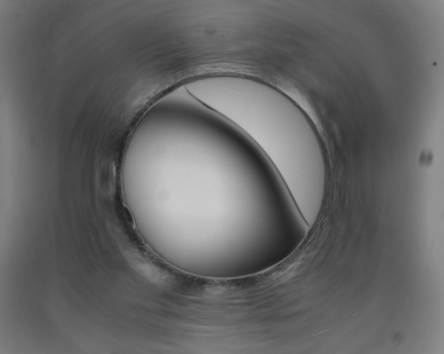 X0000093230109200709261517