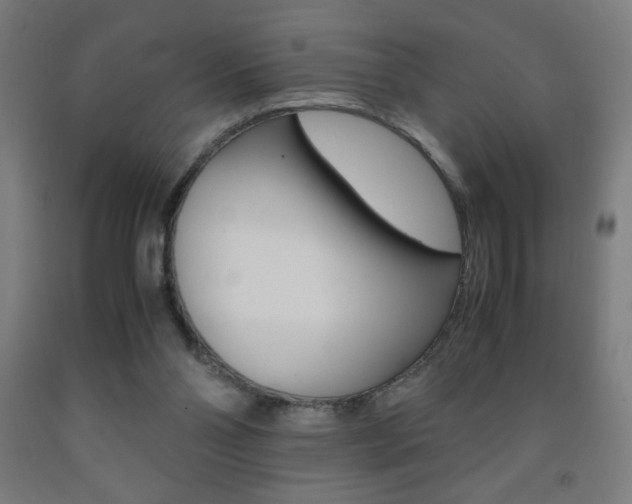 X0000093230110200709261517