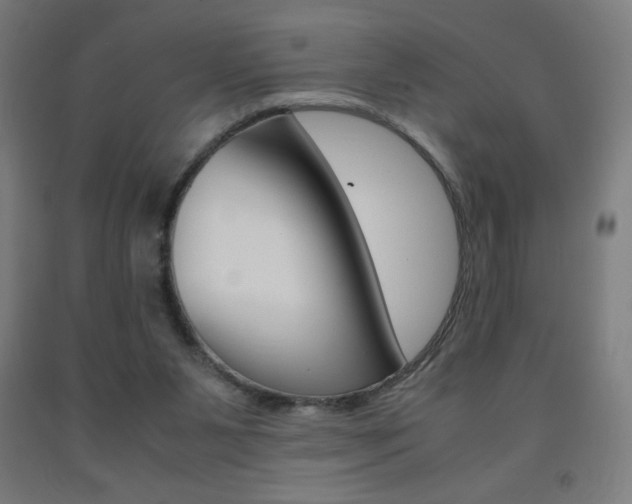 X0000093230111200709261517