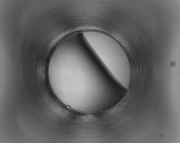 X0000093230112200709261517